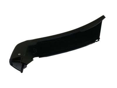 Chevy 12384856 Lower Molding