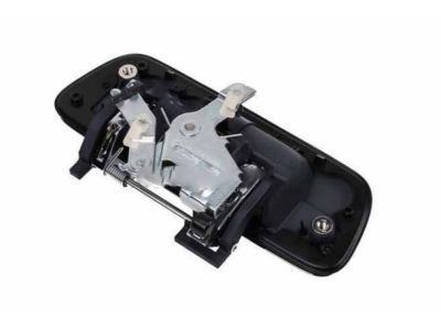 Chevy Colorado Door Handle - 25954875