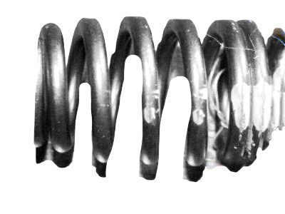 Buick 10166343 Valve Springs