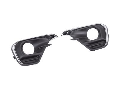 GM 42348899 Bezel Package, Fog/Driving, Front