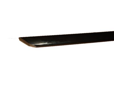 Chevy 10249328 Impact Strip
