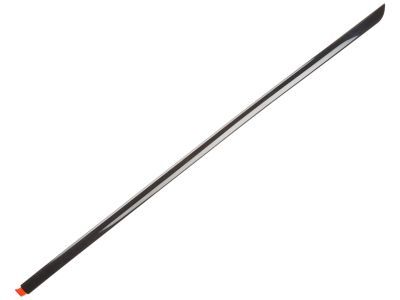 Chevy 10249328 Impact Strip