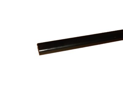 Chevy 10249328 Impact Strip