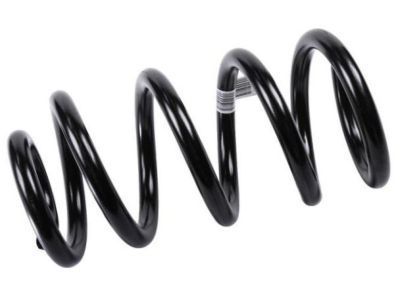 GMC Coil Springs - 22845791