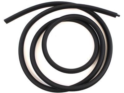 GMC Jimmy Weather Strip - 15100042