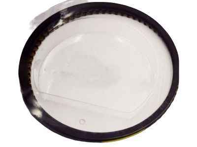 Buick Rainier Piston Ring - 12670787