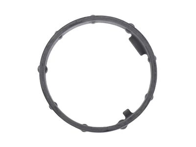 GM 55596730 Gasket, Engine Oil Filter 55596730 GM Gasket, Engine Oil Filter Product Photo 1 of 2