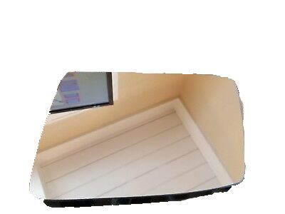 GM 15635575 Mirror Glass, Rear Driver Side