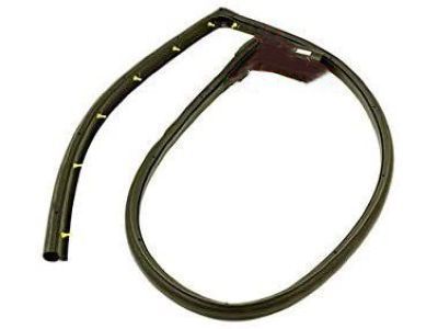 Chevy Express 3500 Door Seal - 15821952