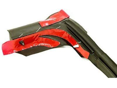 Chevy Express 3500 Door Seal - 15821952