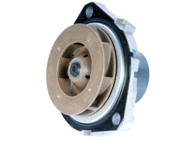 Chevy Water Pump - 55488983