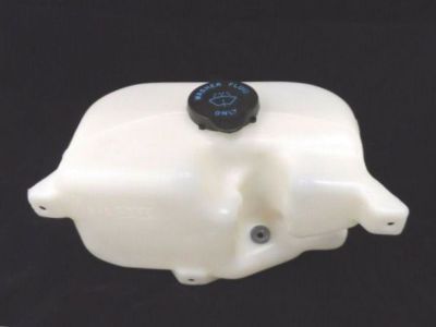 Buick Washer Reservoir - 19120010