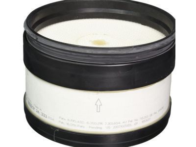 GMC Air Filter - 25839611