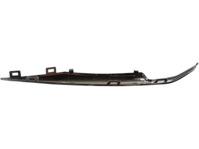 Cadillac 23445443 Lower Molding