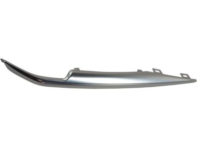 Cadillac 23445443 Lower Molding