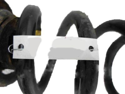 GM 23334607 Coil Spring, Rear