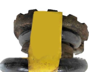 GM 23334607 Coil Spring, Rear