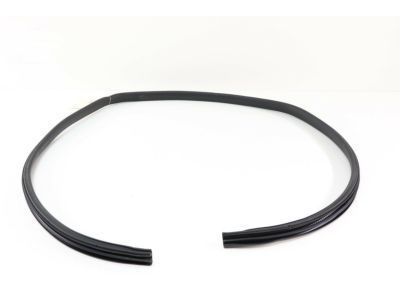 Hummer H3 Weather Strip - 25931888