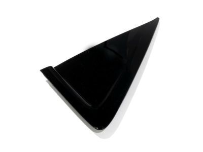 Buick 10421099 Applique