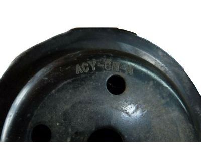 Buick Water Pump Pulley - 10215266