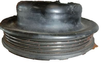 Buick Water Pump Pulley - 10215266