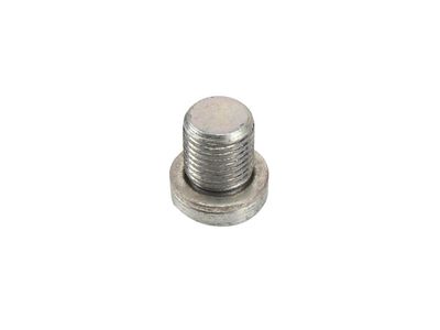GM 55568431 Plug, Engine Cylinder Head 55568431 GM Plug, Engine Cylinder Head Product Photo 1 of 2