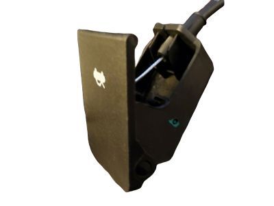 GMC Terrain Hood Latch - 22909710