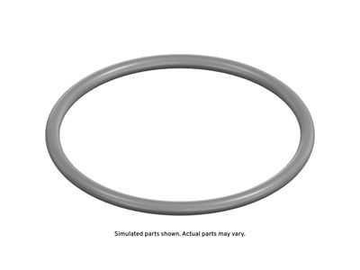 GM 13562738 Seal, Fuel Pump Mounting 13562738 GM Seal, Fuel Pump Mounting Product Photo 1 of 1