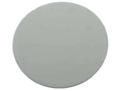 Chevy 22978397 Fuel Door