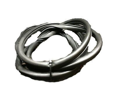 Chevy 22859956 Belt Weatherstrip
