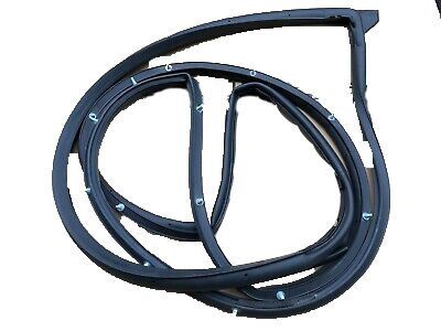 Chevy 22859956 Belt Weatherstrip