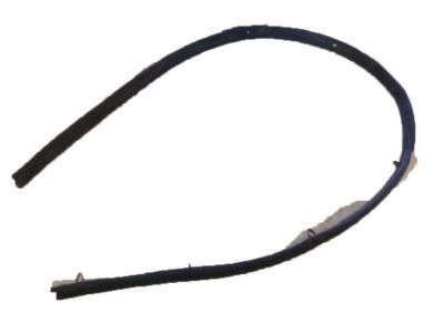Chevy Express 1500 Weather Strip - 25760644