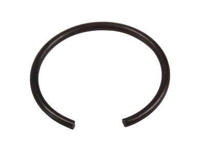24299327 GM Ring, Rear Axle Shaft Product Photo 2 of 2