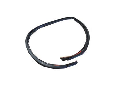Chevy 15237956 Lower Weatherstrip