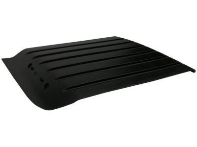 GM 22753693 Rear Molding, Passenger Side