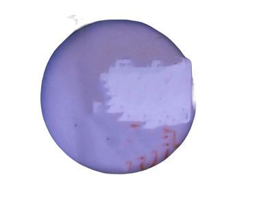 Buick Head Gasket - 12590863