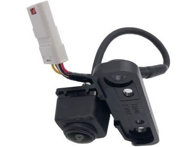 Cadillac 23402538 Camera