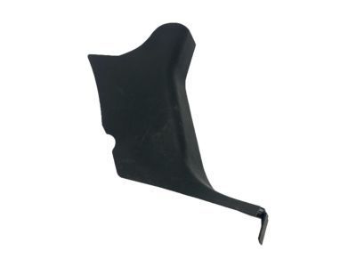 GM 10392646 Cowl Trim, Passenger Side