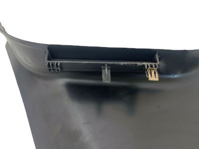 GM 10392646 Cowl Trim, Passenger Side