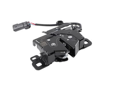 13552808 GM Latch, Lower Hood Product Photo 2 of 3