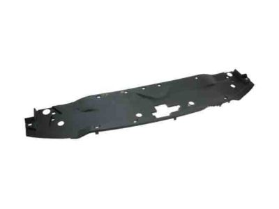 Chevy 23318844 Sight Shield