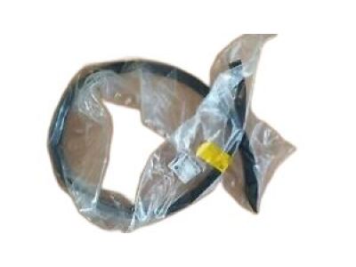 2011 Buick Regal Door Seal - 13333141