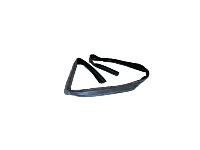 GMC Window Channel - 15960867