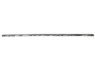 Chevy 12365696 Strip