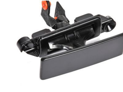Chevy Astro Door Handle - 15981051