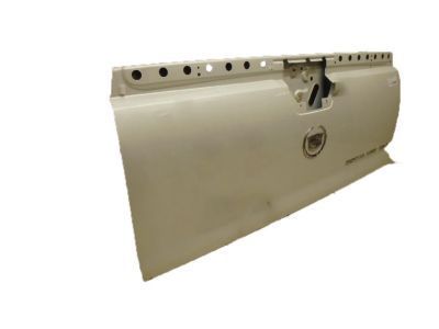 GM 20940096 Tail Gate, Rear