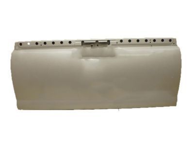 GM 20940096 Tail Gate, Rear