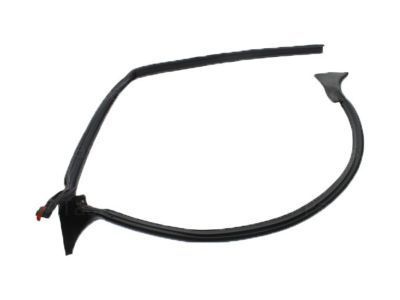 GMC Sierra 2500 HD Door Seal - 25862440