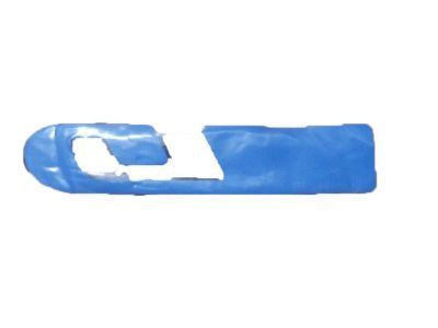 Pontiac Emblem - 10255634