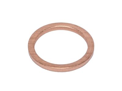 55499874 GM Washer, Turbocharger / Supercharger Oil Drain Product Photo 1 of 1